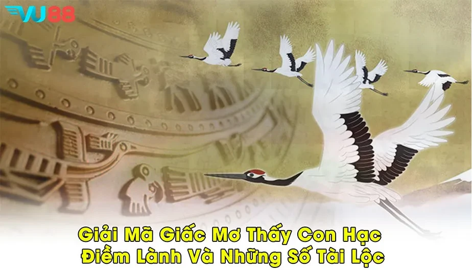 VU88 Giải Mã Giấc Mơ Thấy Con Hạc - Điềm Lành Và Những Số Tài Lộc