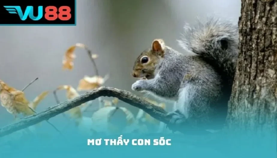 VU88 Mơ Thấy Con Sóc Là Điềm Gì? Giải Mã Toàn Diện Mơ Về Con Sóc