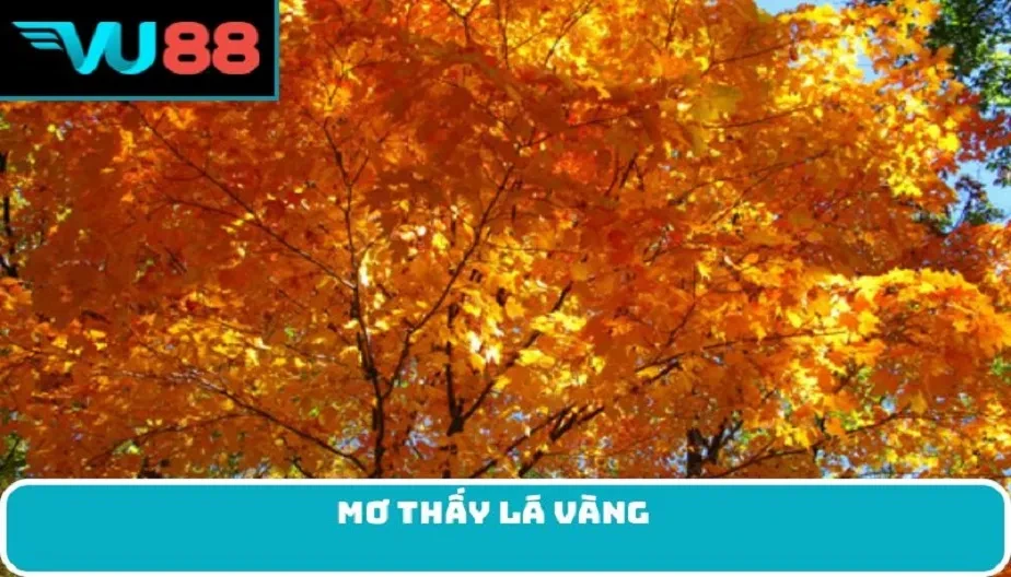 VU88 Mơ Thấy Lá Vàng - Điềm Báo Về Cuộc Sống và May Mắn