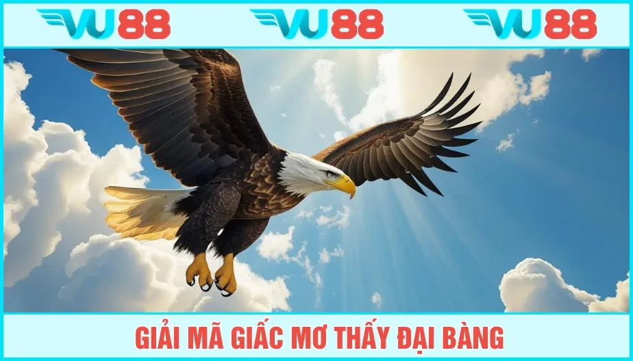 VU88 Mơ Thấy Chim Đại Bàng - Luận Điềm Báo May Rủi Và Số Đẹp