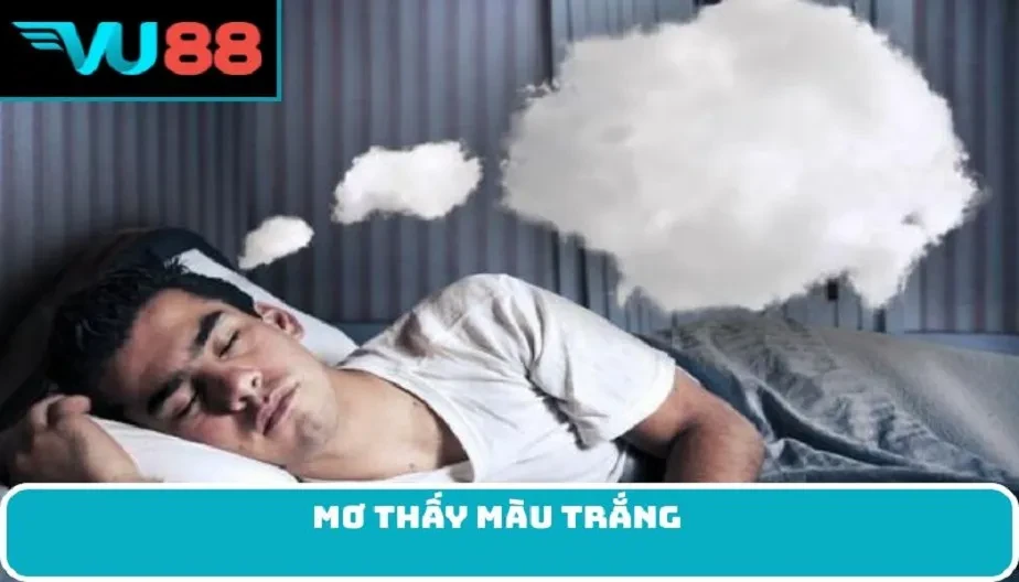 VU88 Mơ Thấy Màu Trắng – Điềm Báo Vận Mệnh Tương Lai Cùng Con Số