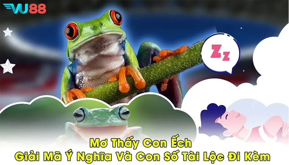 VU88 Mơ Thấy Con Ếch - Giải Mã Ý Nghĩa Và Con Số Tài Lộc Đi Kèm