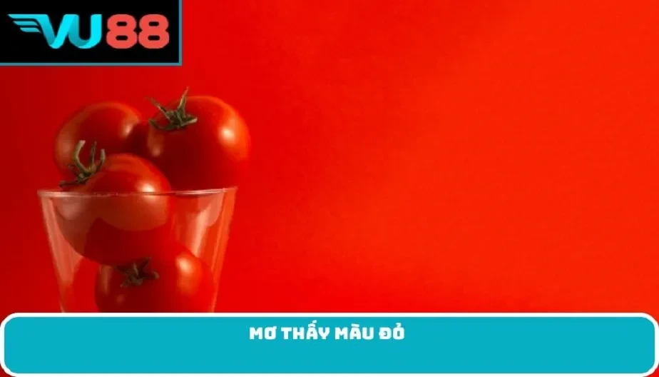 VU88 Mơ Thấy Màu Đỏ - Điềm Báo Và Các Con Số May Mắn Bạn Cần Biết