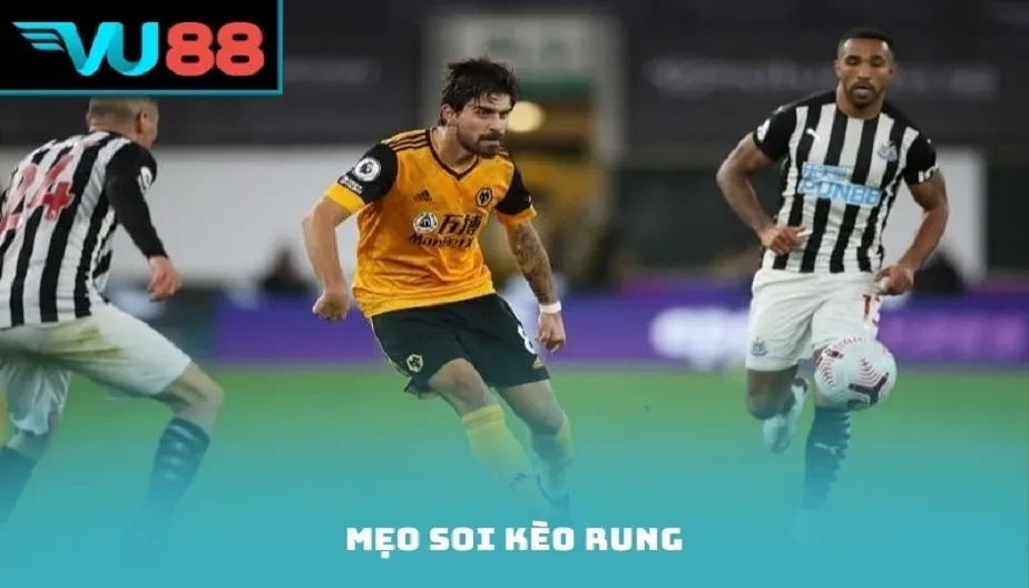 VU88 Mẹo Soi Kèo Rung Hiệu Quả - Cách Bắt Kèo Live Chuẩn Xác