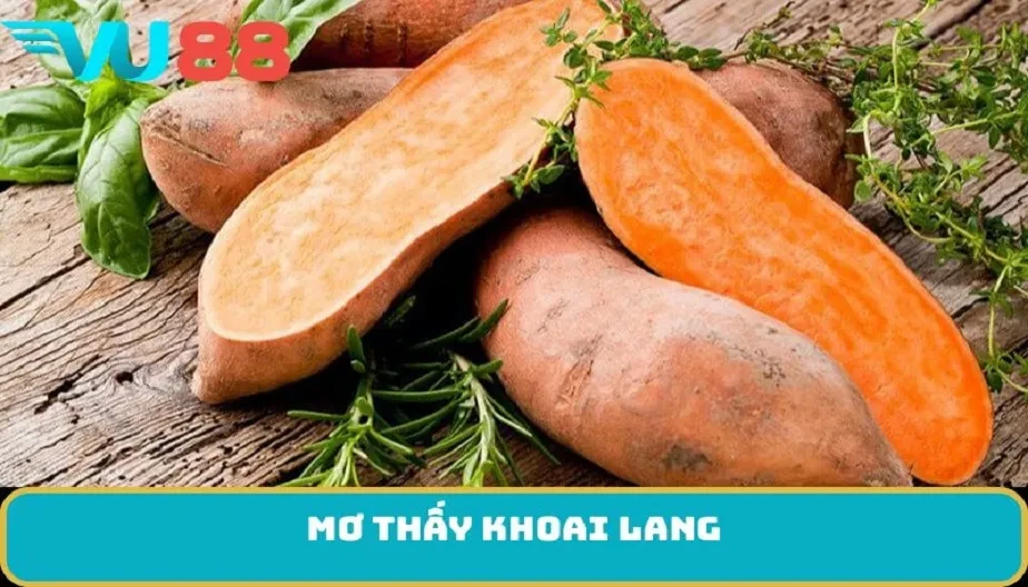 VU88 Giải Mã Mơ Thấy Khoai Lang - Điềm Báo Và Dự Đoán Tương Lai