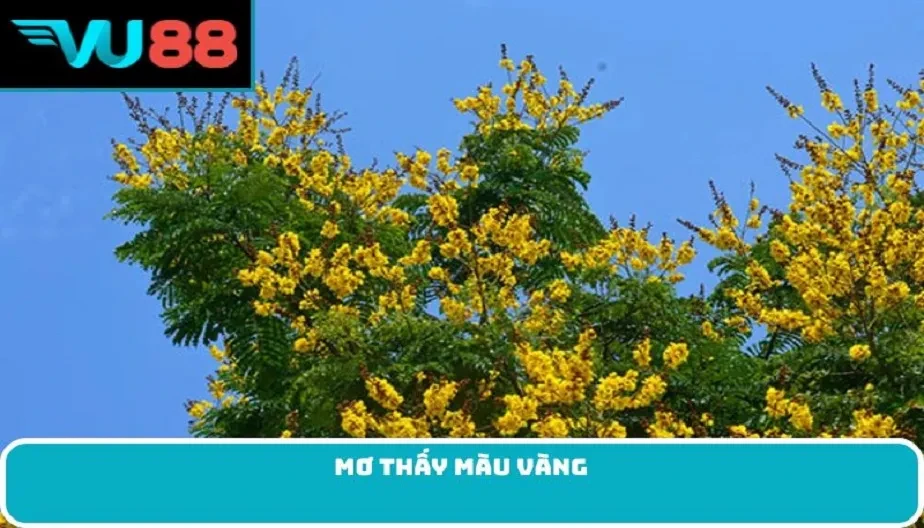 VU88 Mơ Thấy Màu Vàng - Điềm Báo Chi Tiết Và Con Số May Mắn