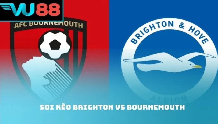 VU88 Soi Kèo Brighton Vs Bournemouth 03:00 Ngày 20/01 Cực Hấp Dẫn