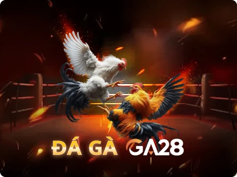 VU88  Đá Gà Livestream